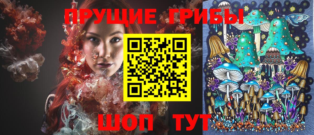 Галлюциногенные грибы MAGIC MUSHROOMS  Галлюциногенные грибы Psilocybe  цена   Вход с VPN  Коломна 